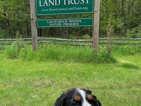 Dog Friendly Door County