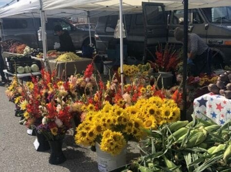 Farmers Markets in Door County