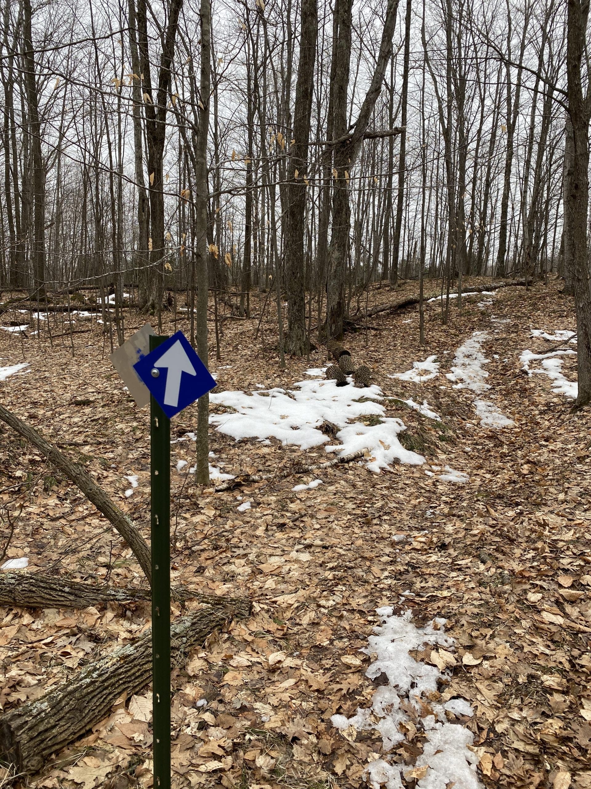 Hike Door County Land Trust