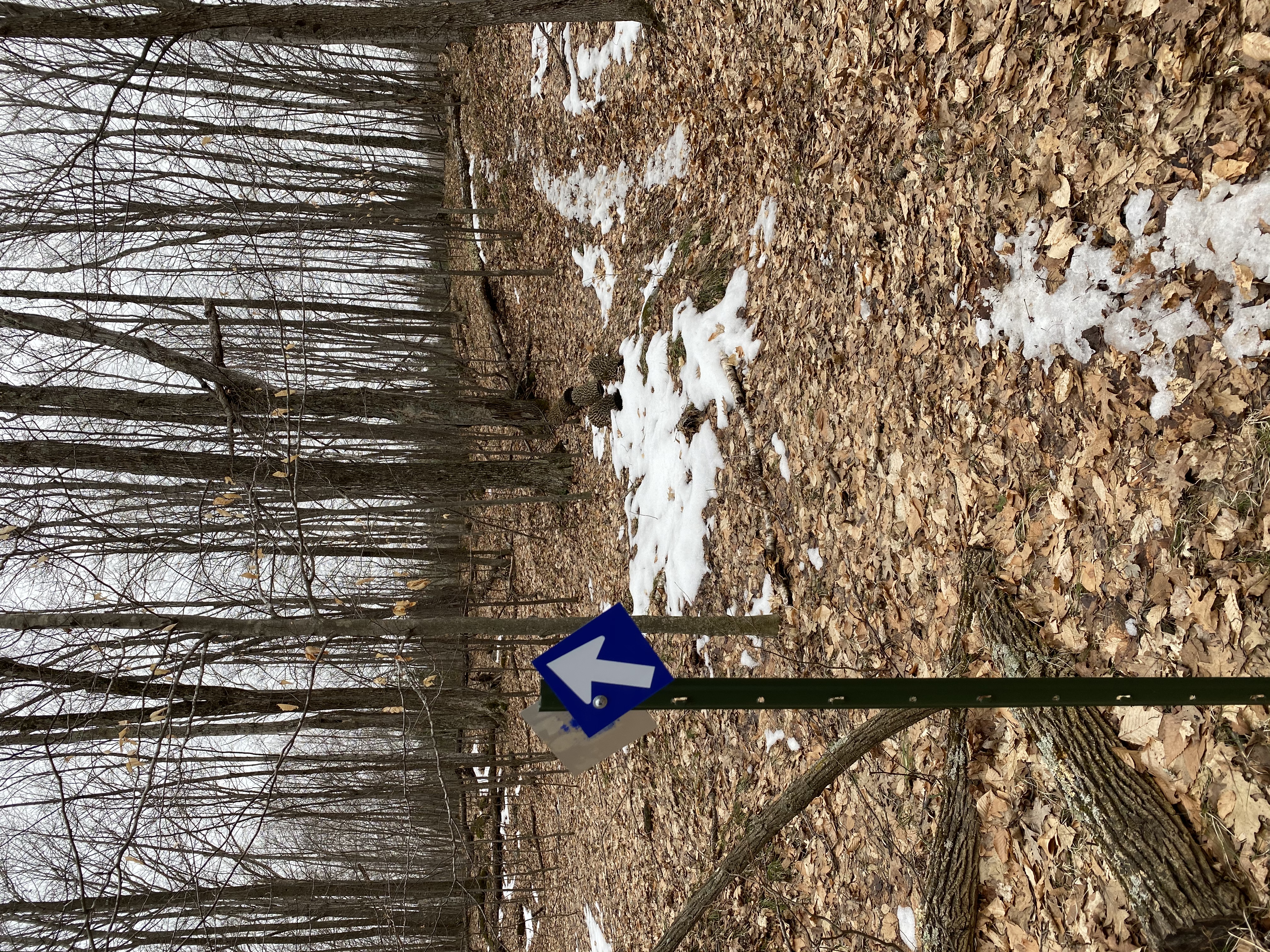 Hike Door County Land Trust