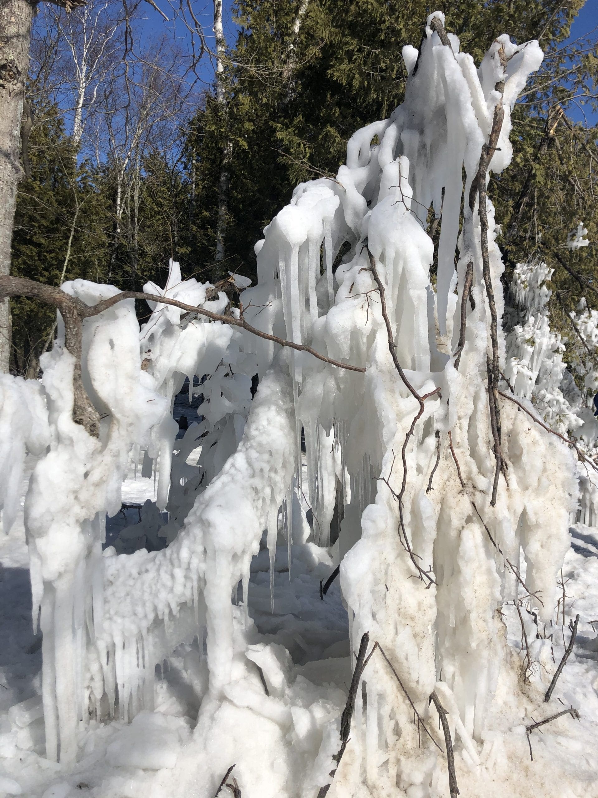 Take a Hike – Winter Style