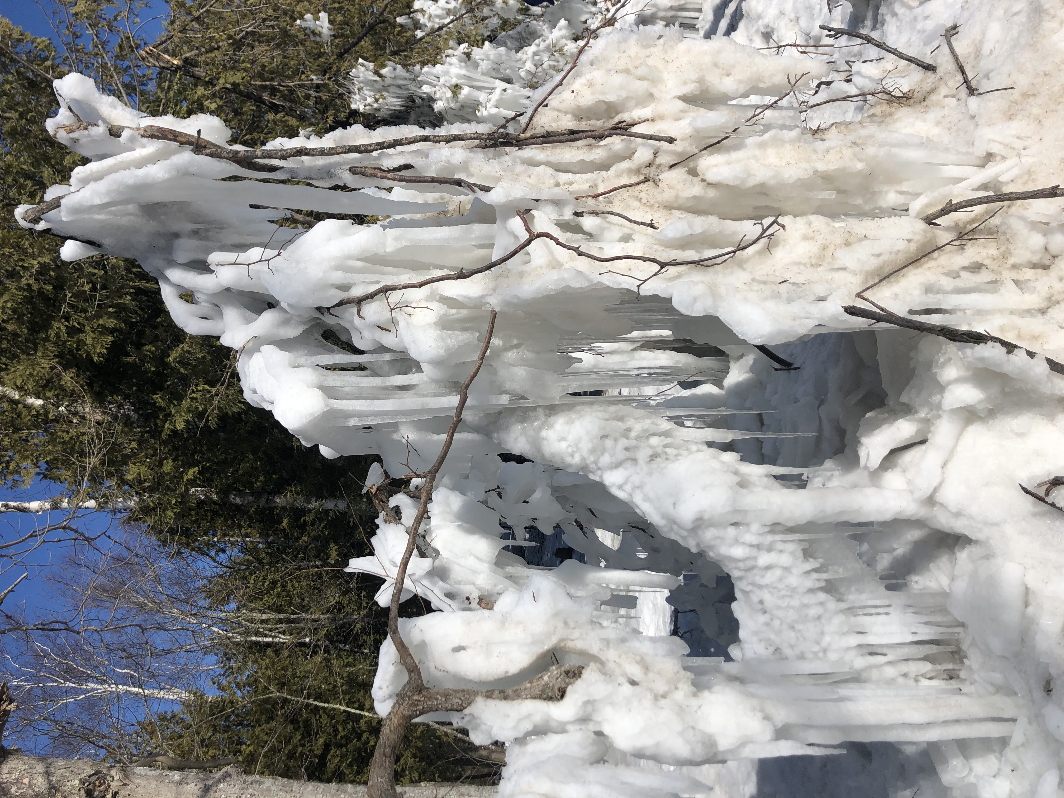 Take a Hike – Winter Style